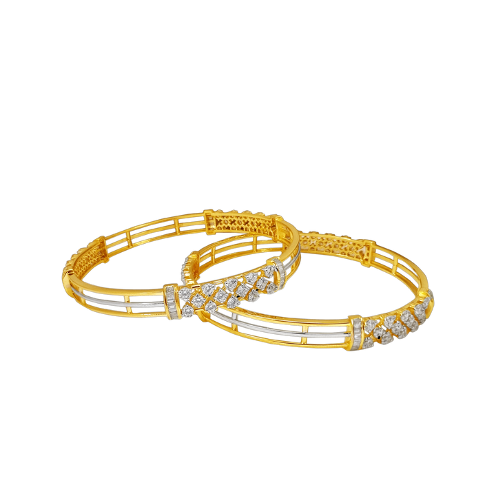 Ladies Bangles -2118