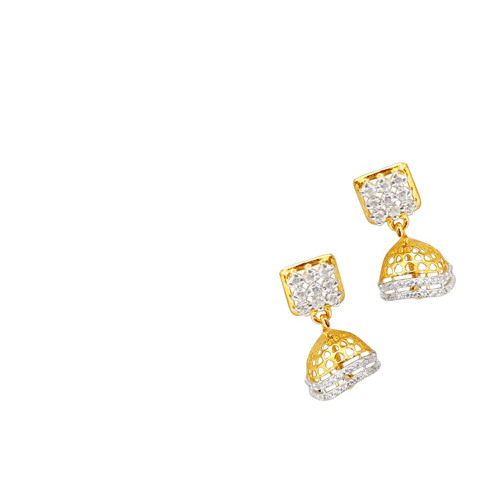 Female Earring -208