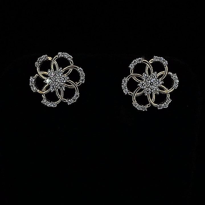 Female Earring -13988