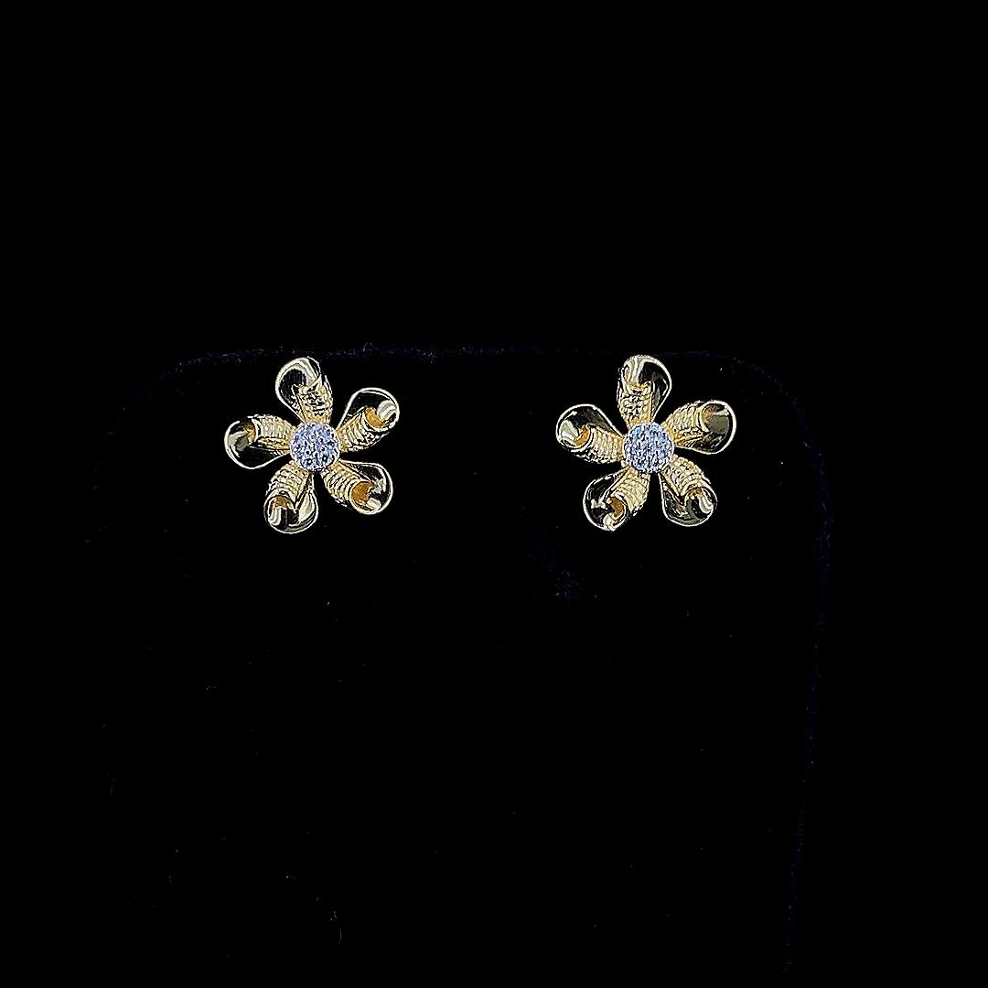 Female Earring - 13132