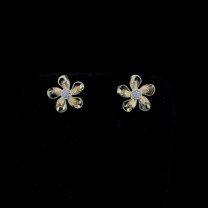 Female Earring - 13132